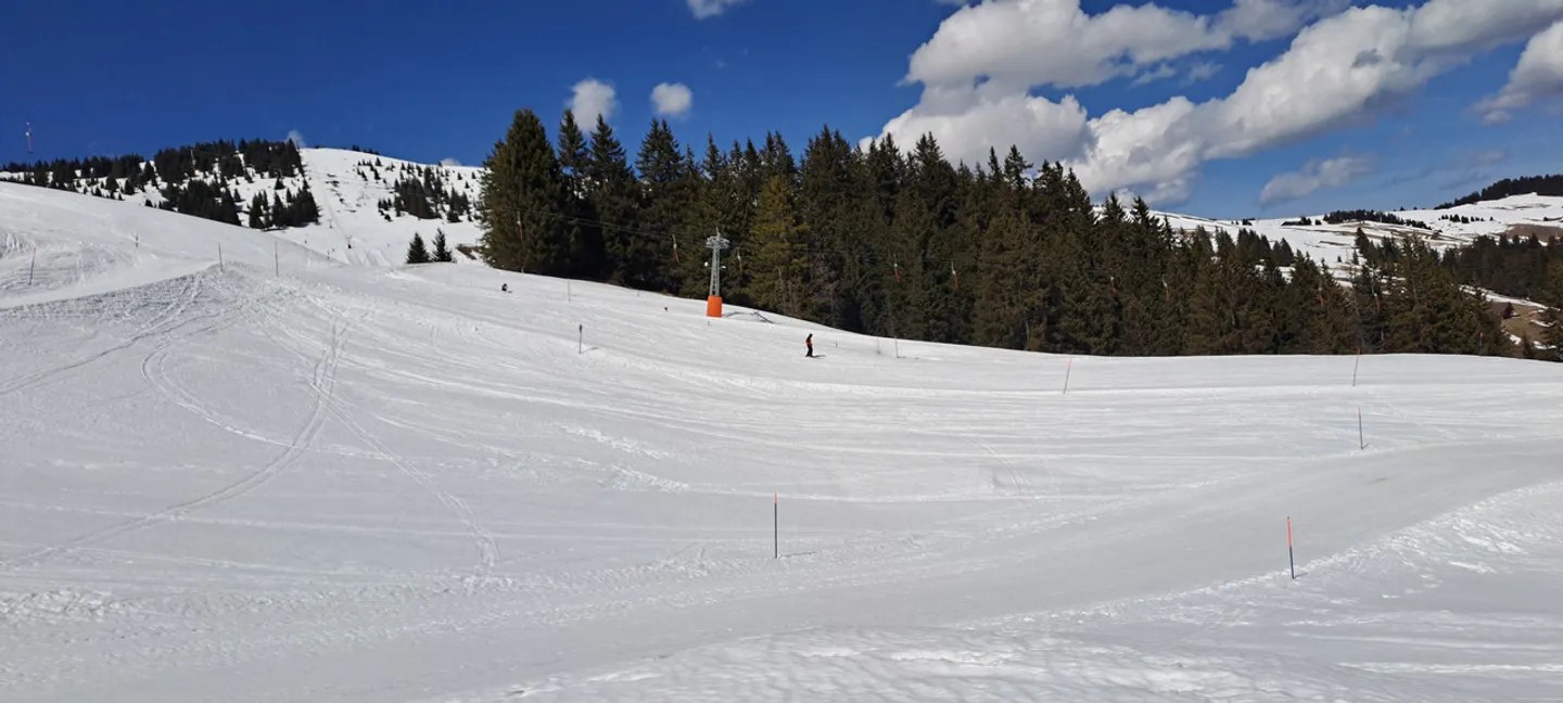 Build Your Dream Chalet in Champoussin - Photo 5 of 7