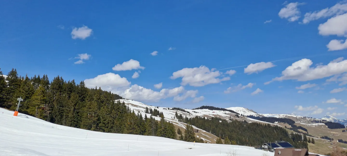 Build Your Dream Chalet in Champoussin - Photo 4 of 7