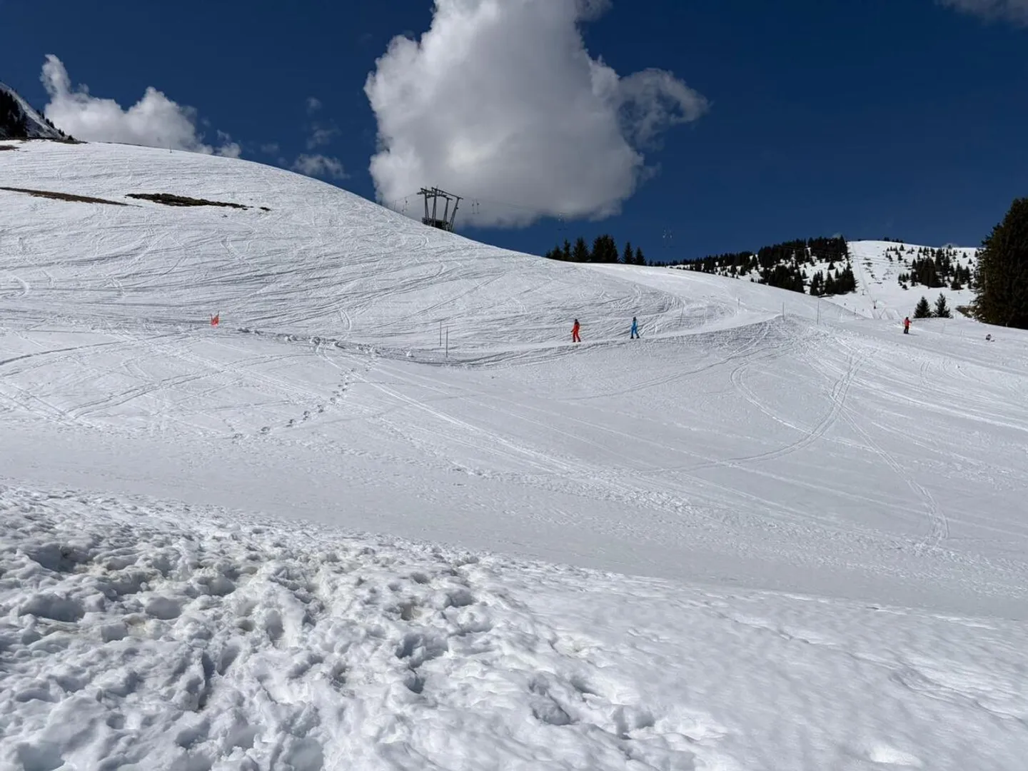 Build Your Dream Chalet in Champoussin - Photo 6 of 7