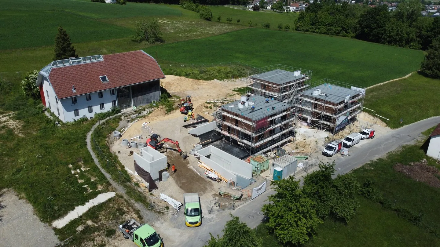 Life in the Courtyard - Photo 1 of 14