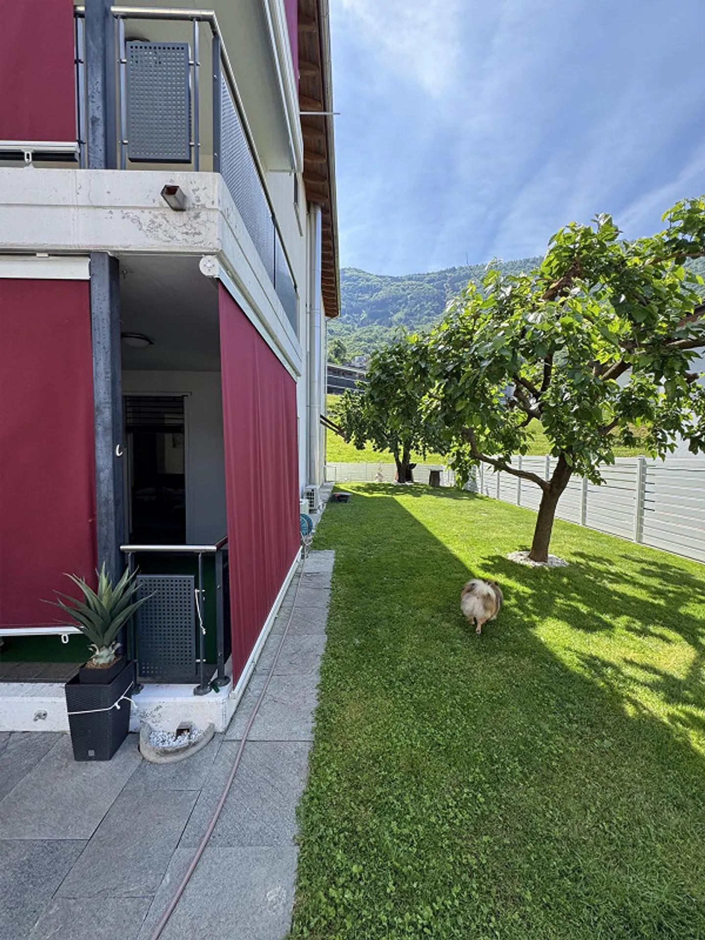 Appartamento al Piano Terra Incantevole - Foto 7 di 22