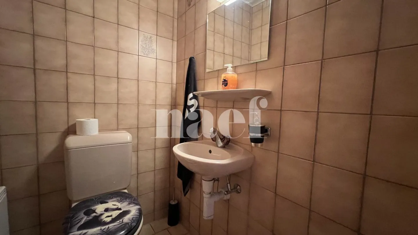 Appartamento 5.5 stanze - Foto 3 di 5