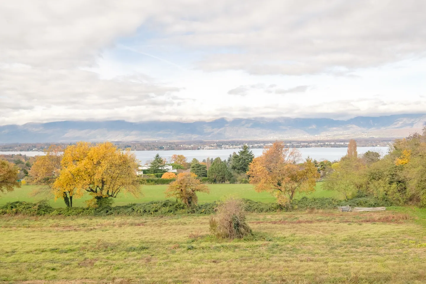 Duplex for sale - Photo 7 of 7