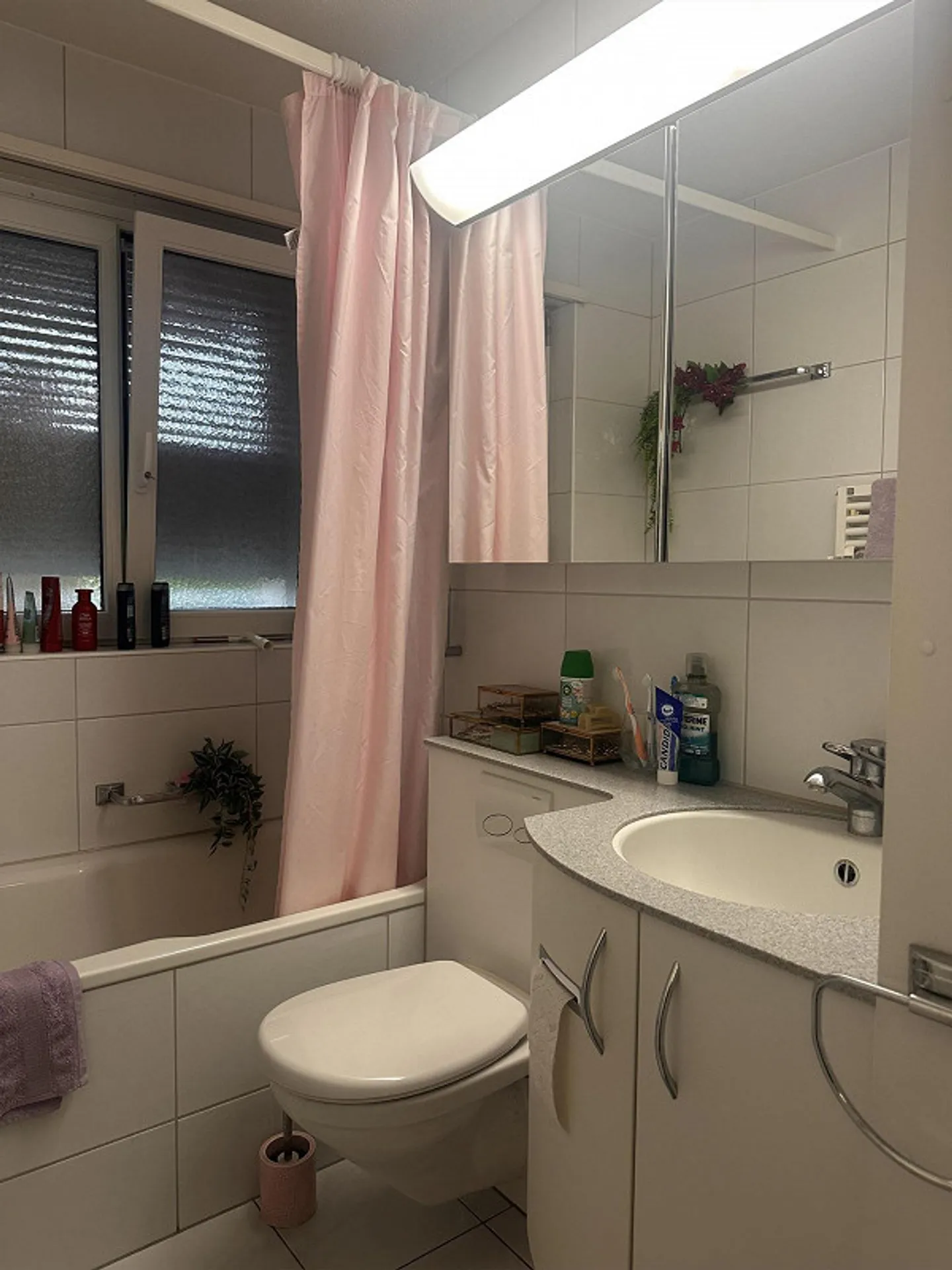 Charmante 1-Zimmer-Wohnung - Foto 7 von 7