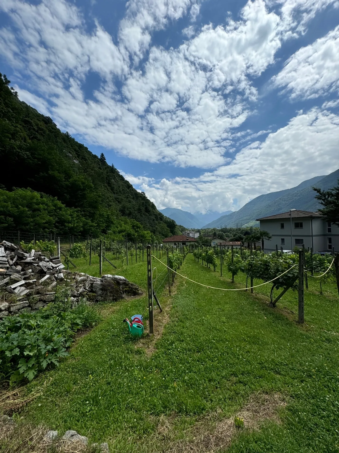 Terreno edificabile pianeggiante in vendita a Cresciano, 6705 Riviera - Foto 2 di 5