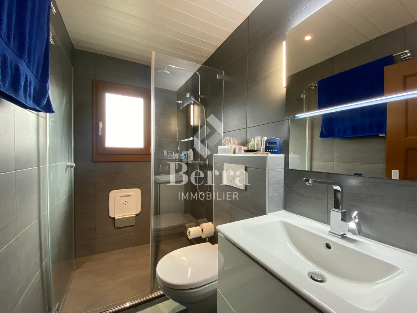 Superb renovated chalet with independent studio and panoramic view of Lake Léma - Photo 5 of 14