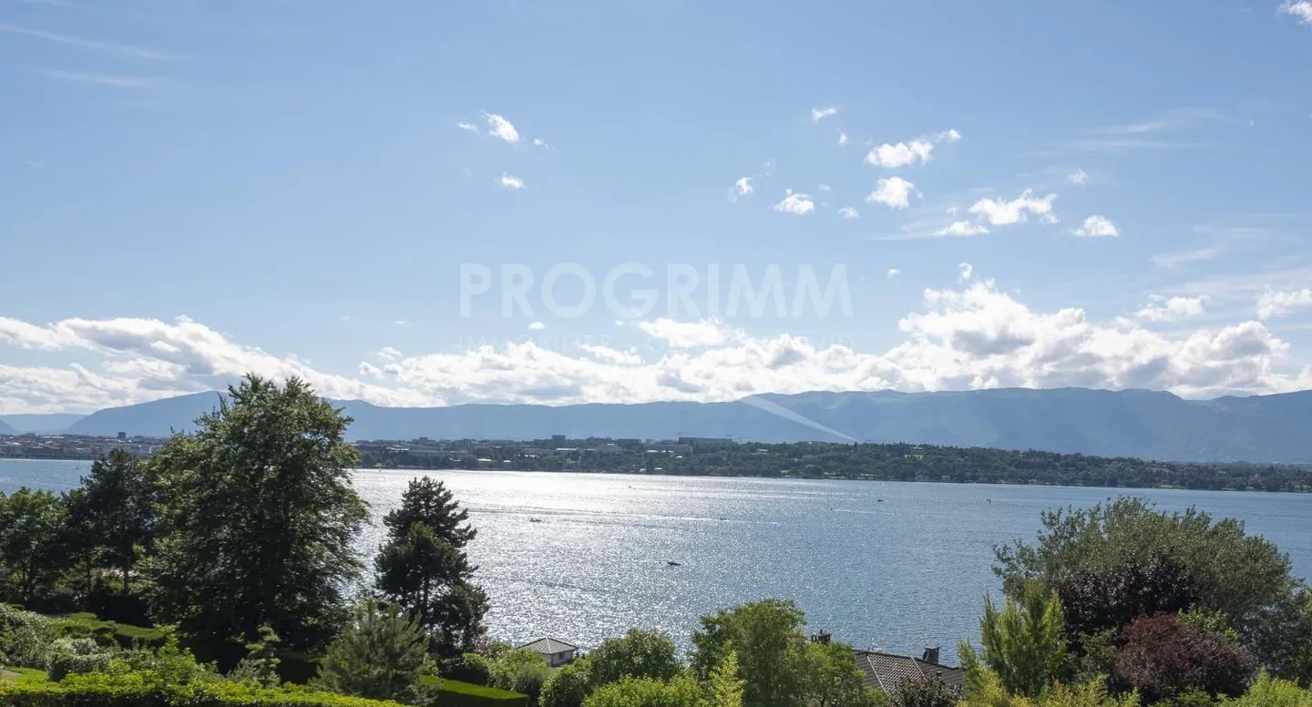 Coteau de Cologny - Villa contemporanea con vista mozzafiato - Foto 1 di 1