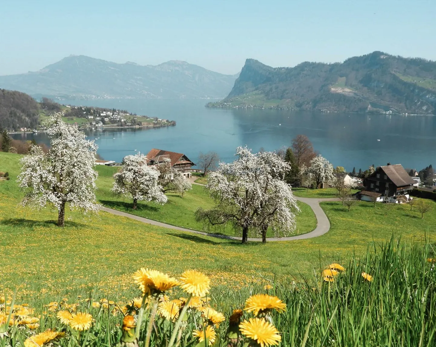 Exclusive Living with Loggia, Pilatus View and Partial Lake View - Photo 9 of 9