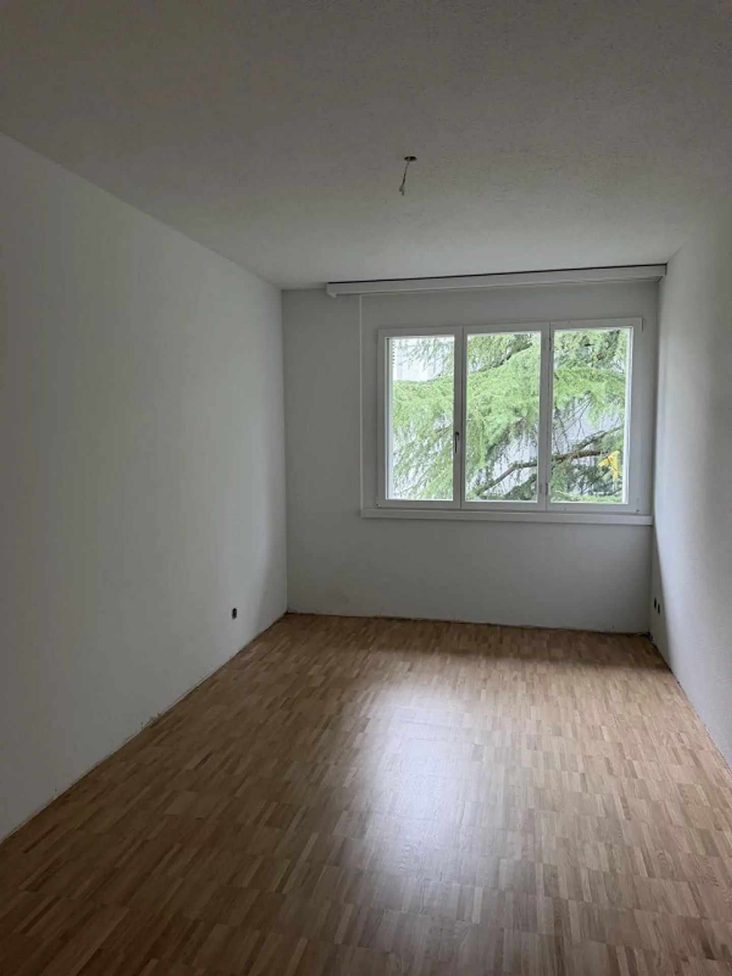Spacious Apartment in Wesemlin - Photo 5 of 8