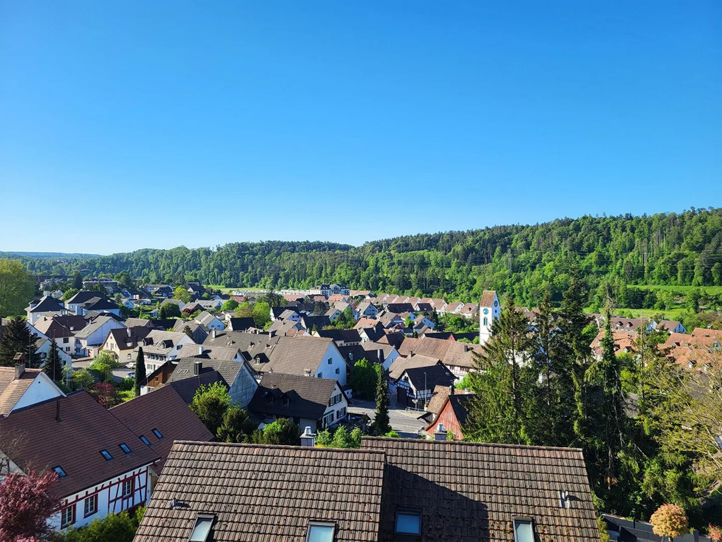 Progetto di nuova costruzione moderno in una posizione collinare attraente di Glattfelden – Vivere nella natura con comfort - Foto 2 di 2