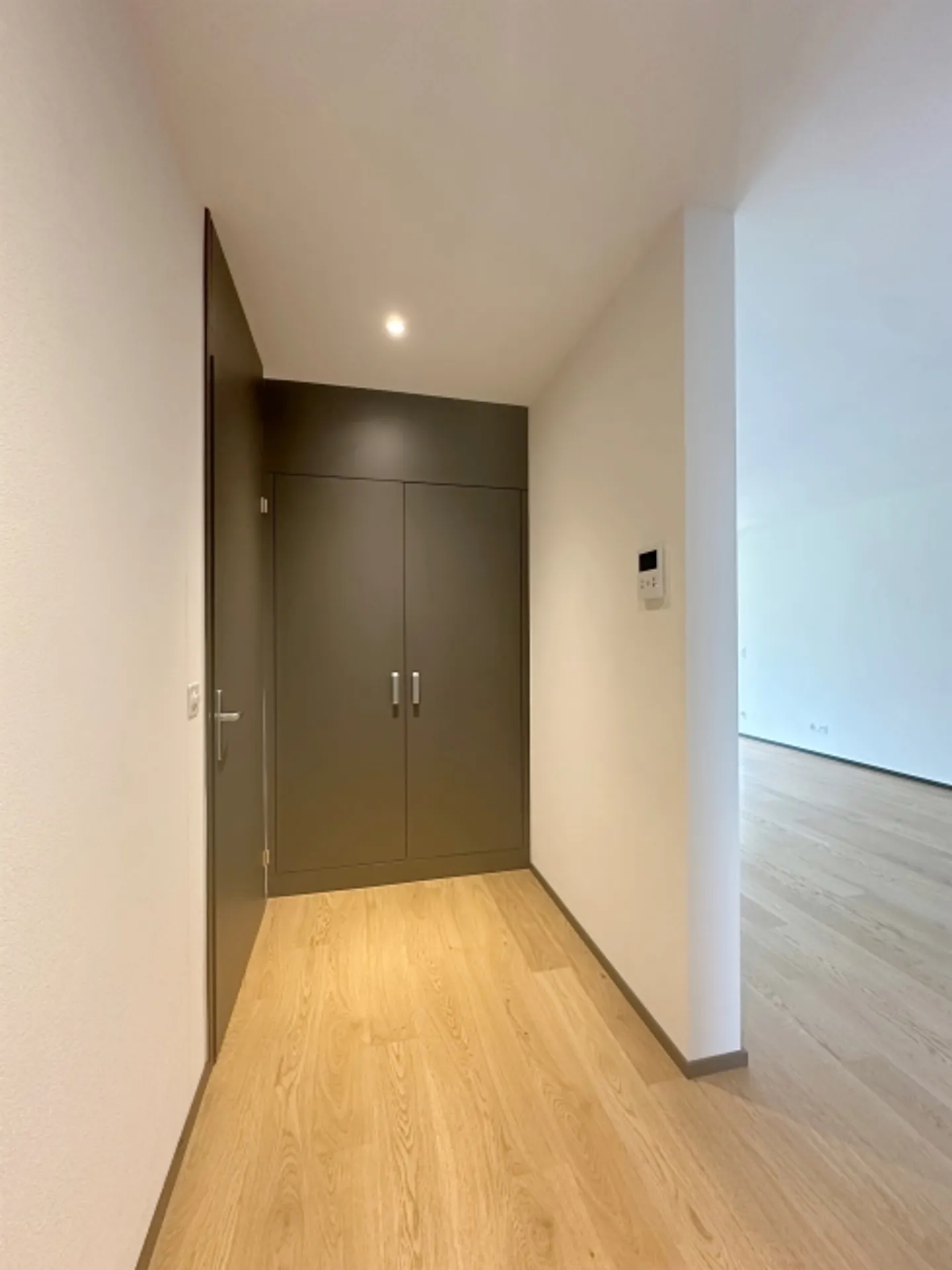 Appartamento moderno sulla Sihl - Foto 3 di 8