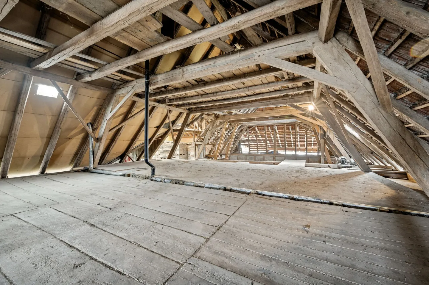 Fattoria con spazio abitativo, sezione economica e potenziale di sviluppo - Foto 11 di 14