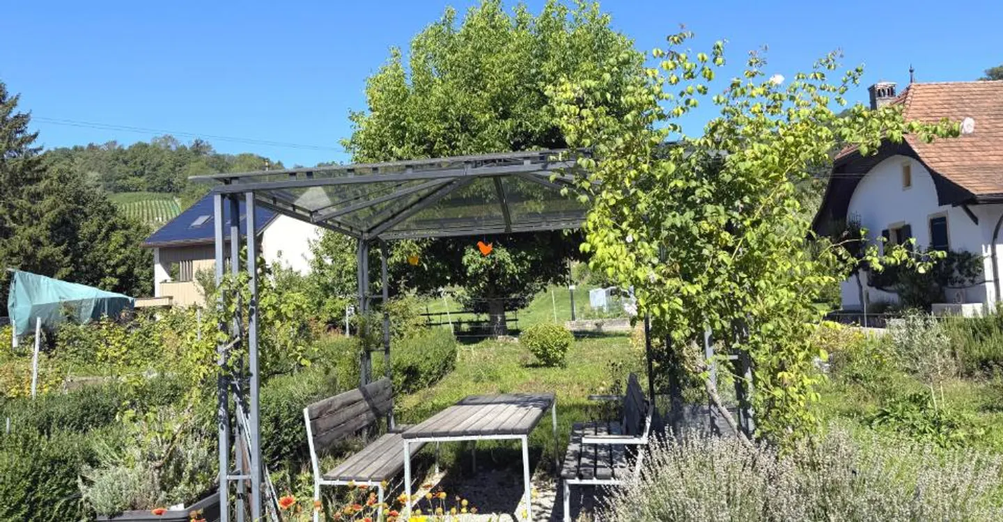 Schöne 3,5-Zimmer-Wohnung mit Blick auf die Weinberge - Foto 10 von 10