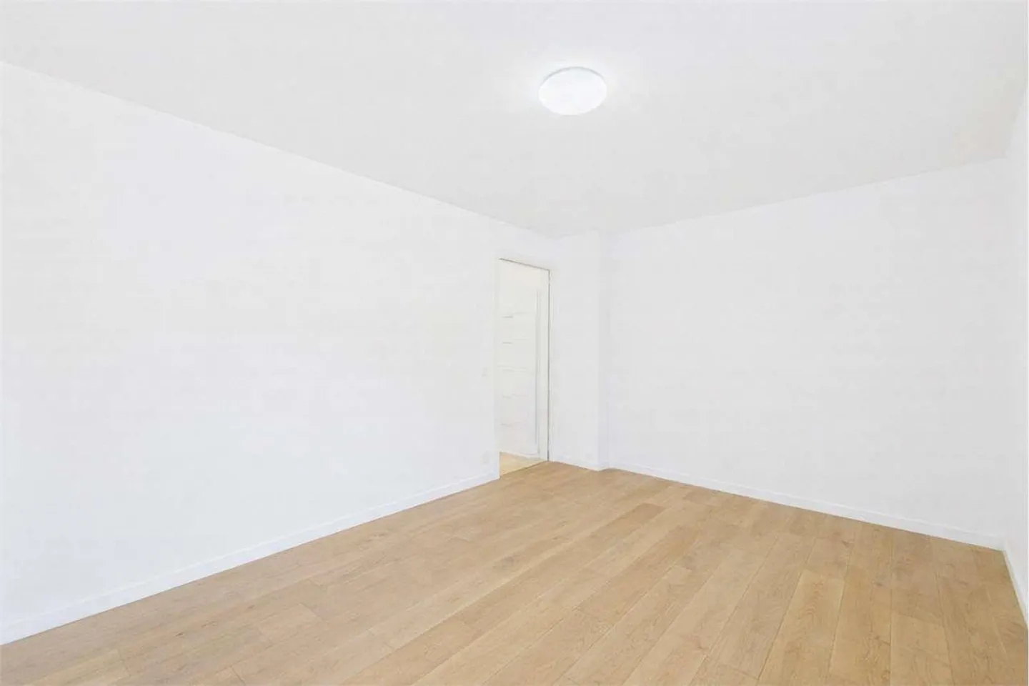 Pura - Luminoso appartamento 2.5 - Photo 5 of 6