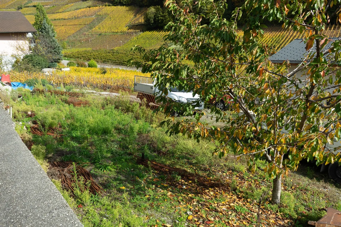 Sunny Building Plot - Photo 1 of 2