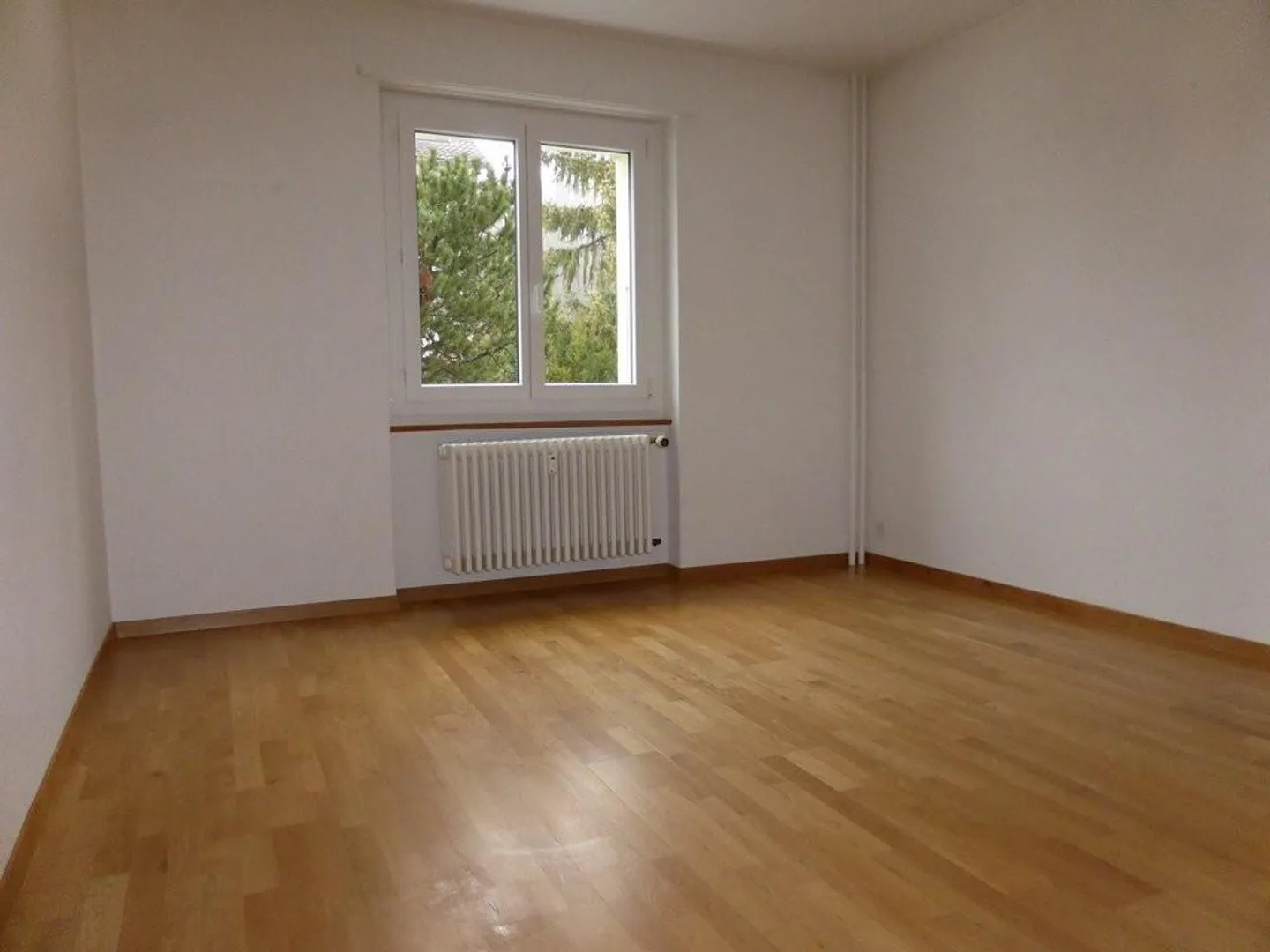 Quiet apartment near Steinhölzli - Photo 6 of 6