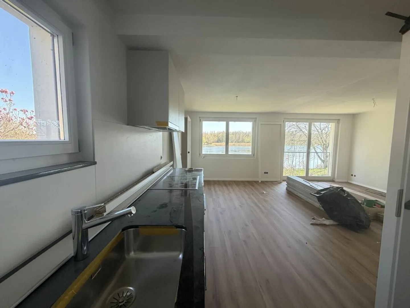 Appartamento 3.5 camere sul Reno - Foto 5 di 21
