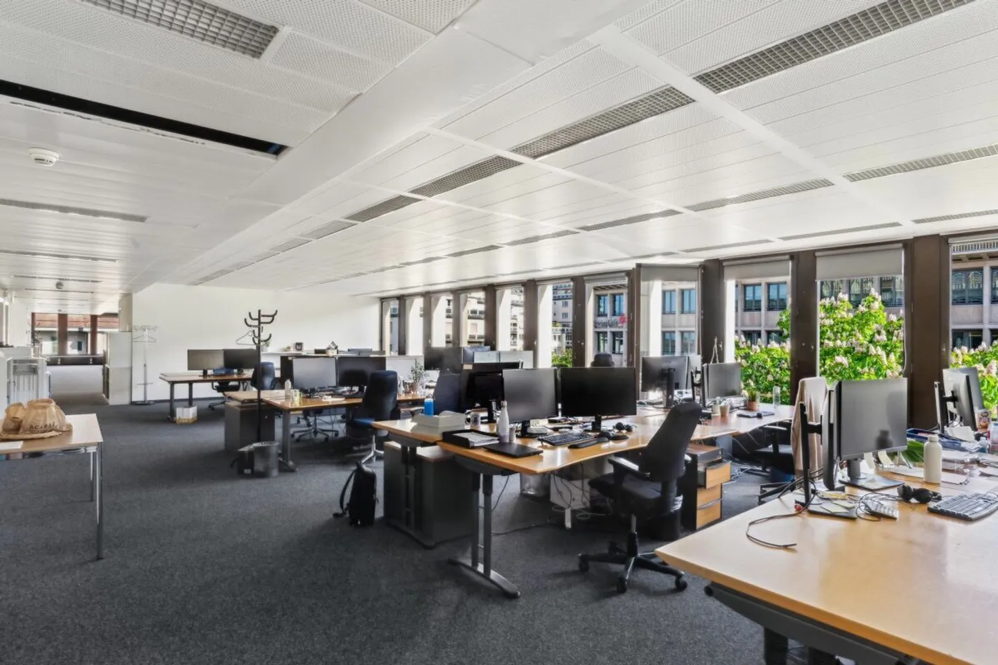 Modular surfaces of 500 m² with lake view immediately available! - Photo 4 of 12