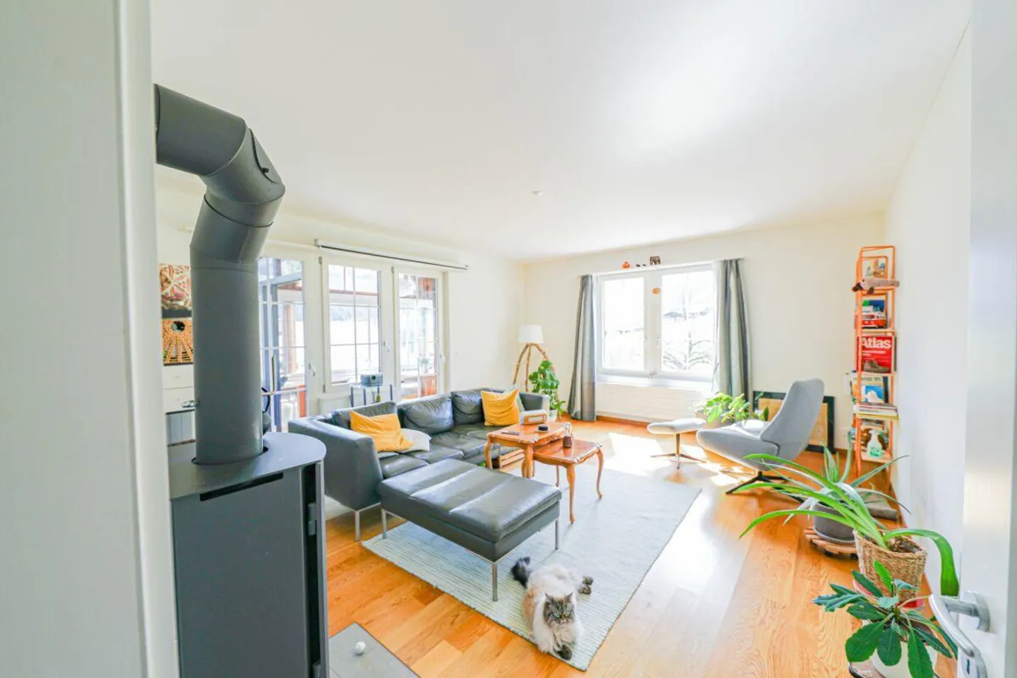Appartement 3.5 pièces au rez-de-chaussée surélevé - Photo 4 sur 12