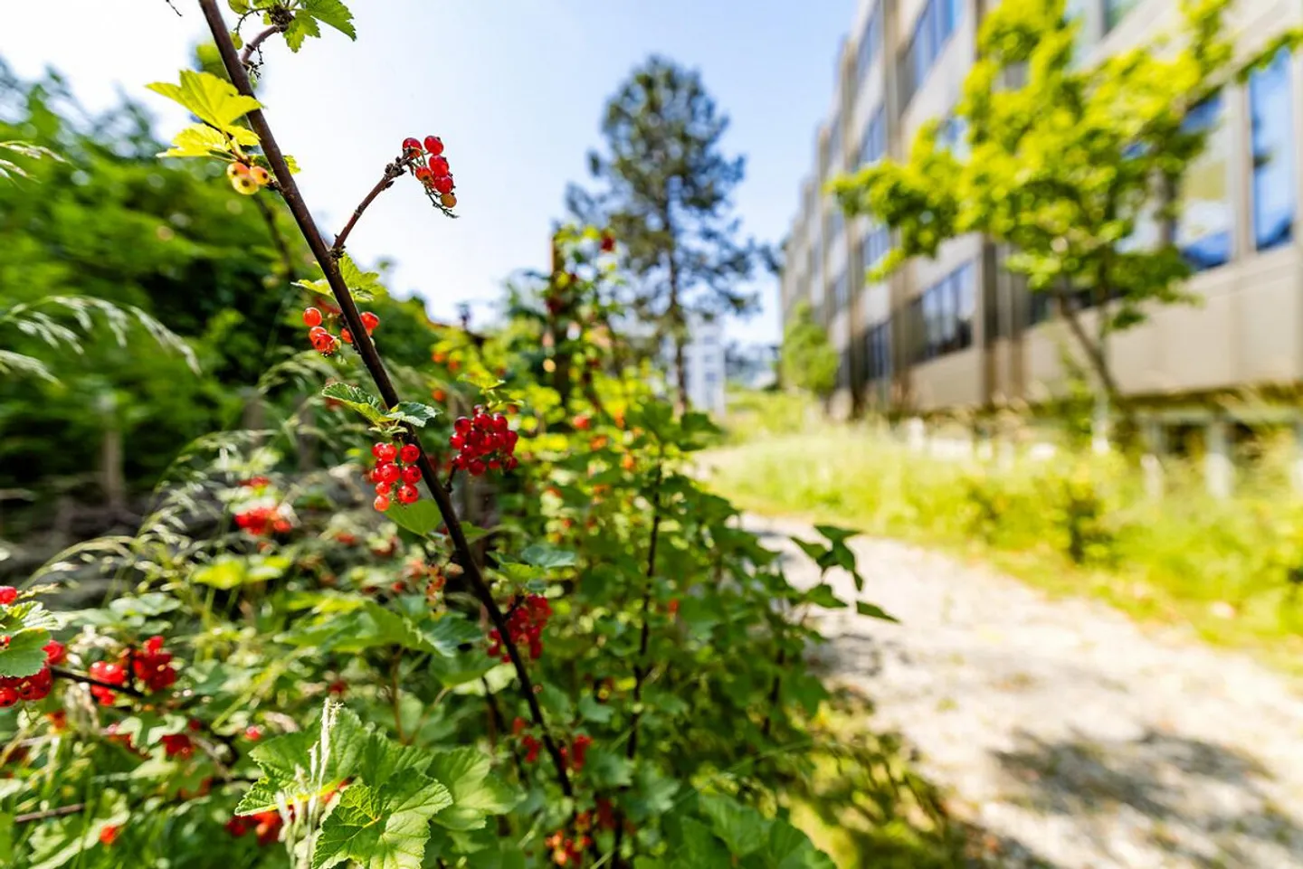 Étage exclusif dans la zone Siemens de Zurich : moderne et durable - Photo 13 sur 13
