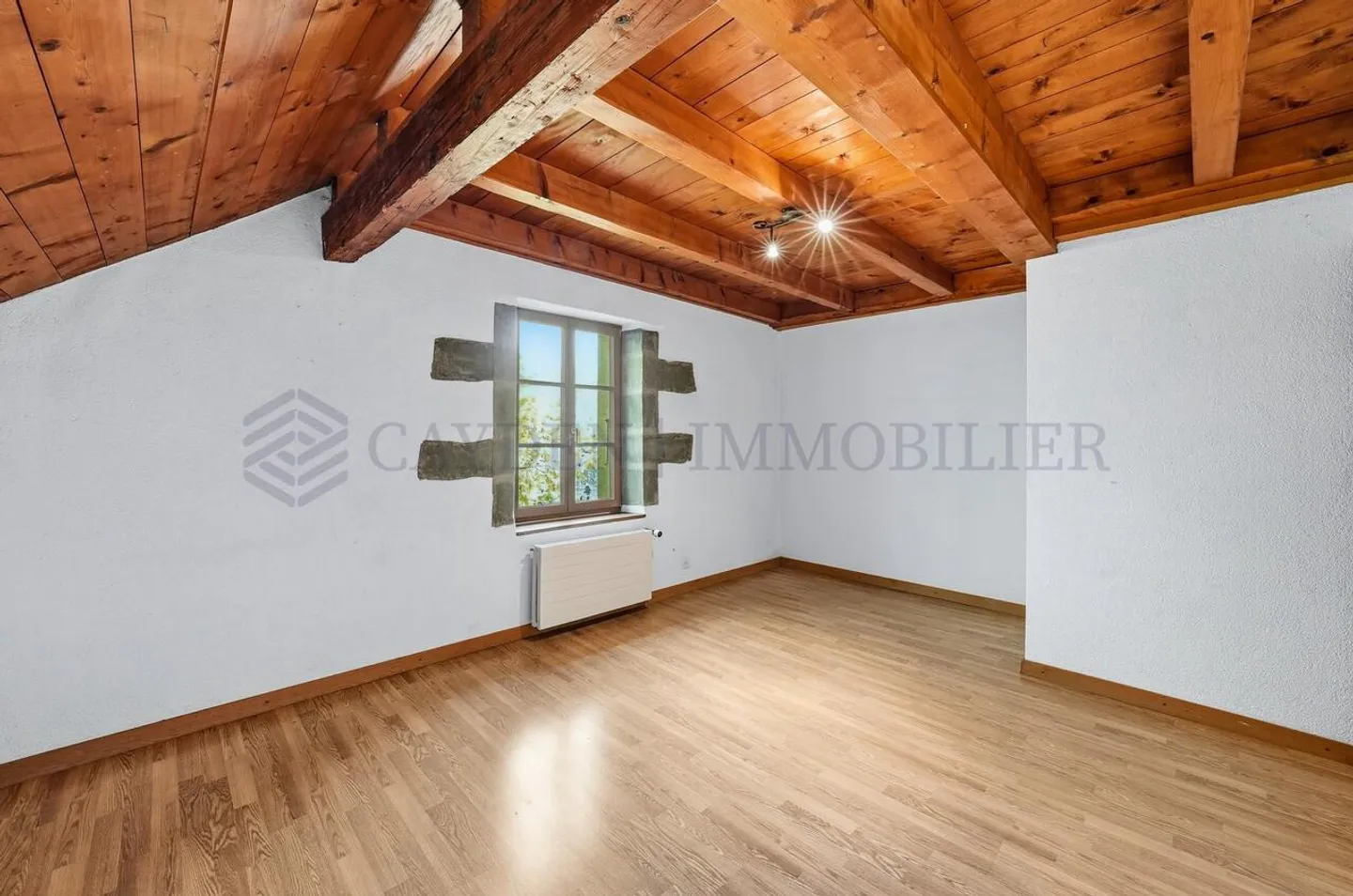 Magnificent Character House in the Heart of the Village of Cartigny - Photo 9 of 12