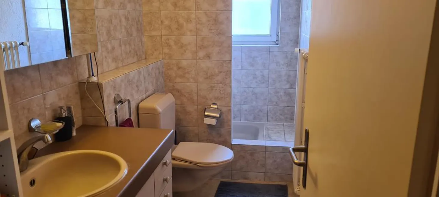 Near Winterthur Train Station - with Balcony - Photo 2 of 3