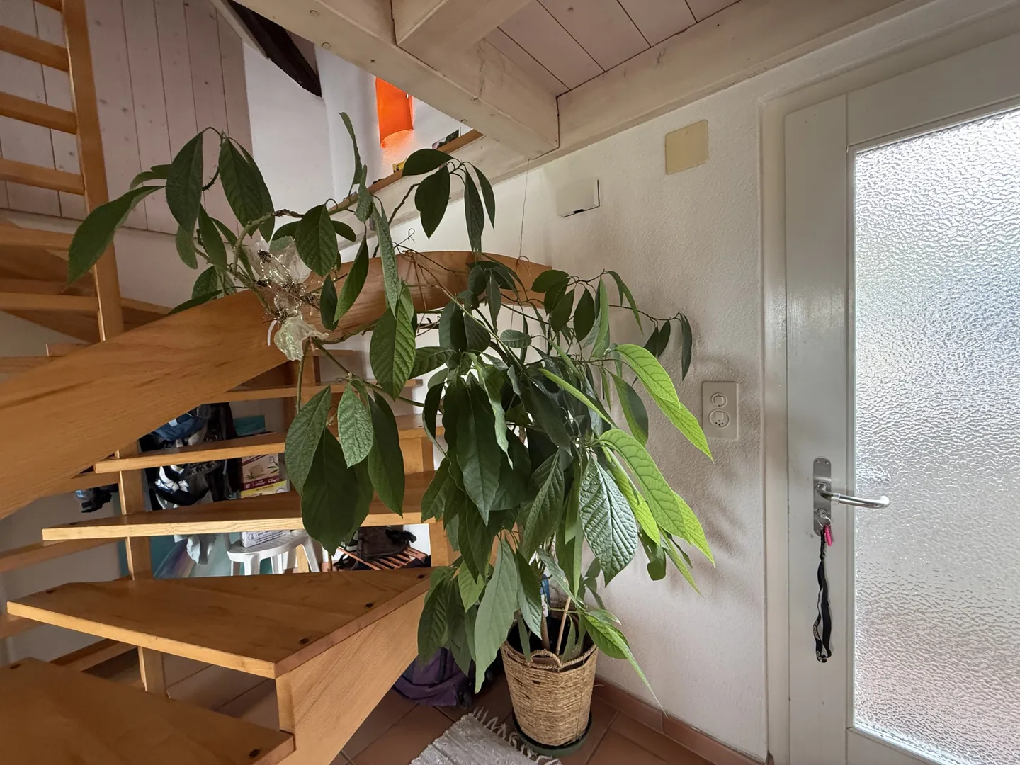 Charmantes Triplex in Courgenay - Foto 16 von 22