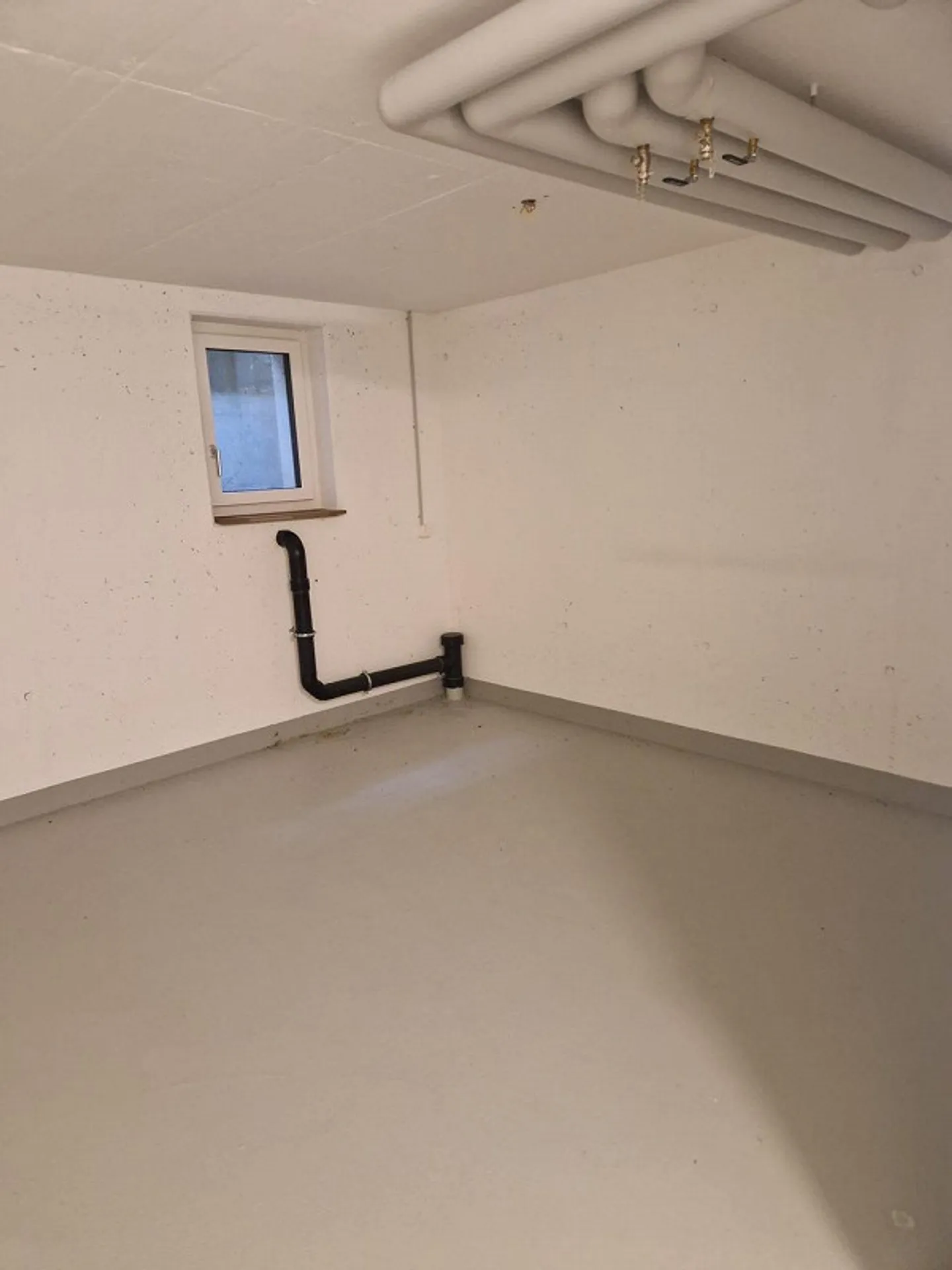 Spacious Diaspora Room in a Central, Quiet Location - Photo 2 of 5