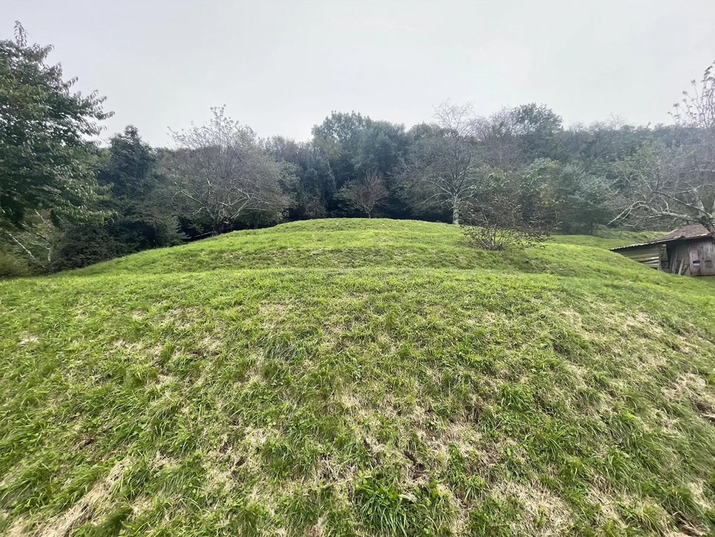 Terreno edificabile con vista lago - Foto 3 di 7