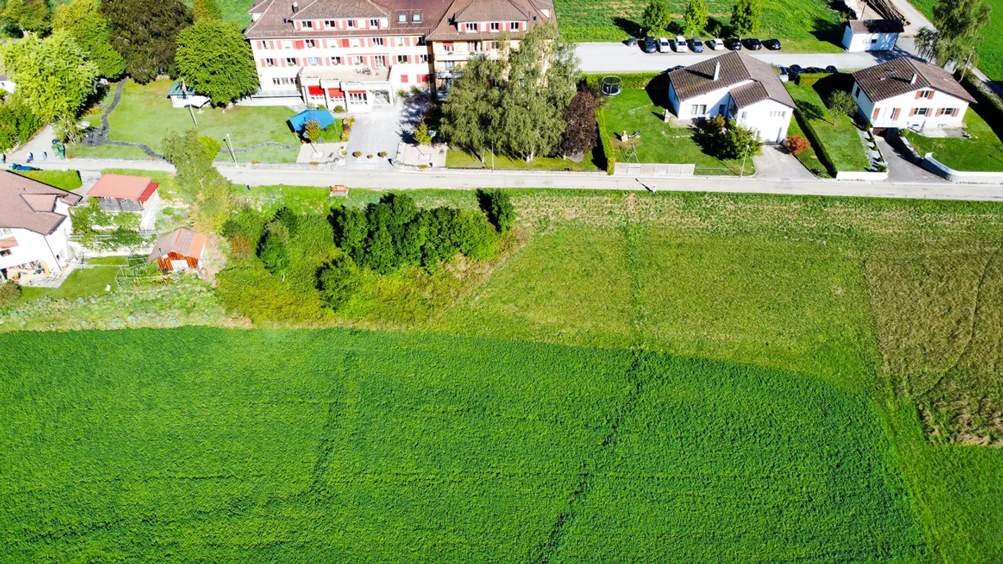 Terrain de construction de 3'965 m2 permis de construire accordé - Photo 9 sur 11