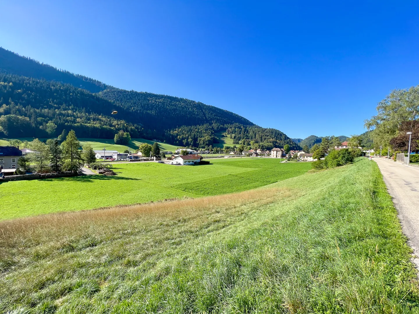 Terrain de construction de 3'965 m2 permis de construire accordé - Photo 10 sur 11