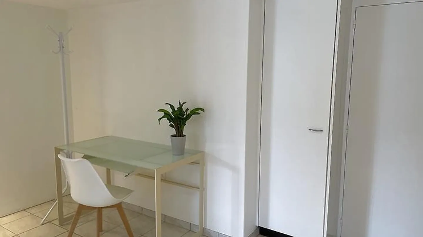 APPARTAMENTO 2½ STANZE A STETTLEN (BE), ARREDATO - Foto 5 di 10