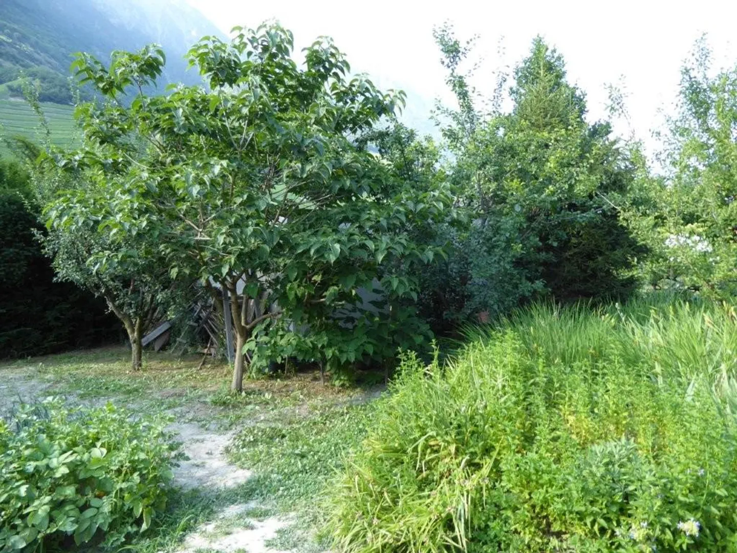 "Petit coin de paradis" à Fully, terrain constructible - Photo 5 sur 5