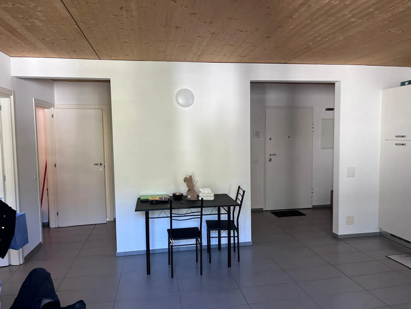 Appartamento Incantevole a Monte Carasso - Foto 8 di 21