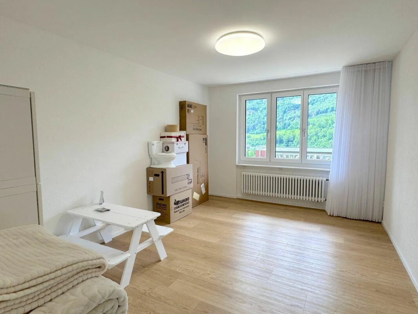 Completely renovated single-family home with fantastic views and optimal sunlight - Photo 6 of 18