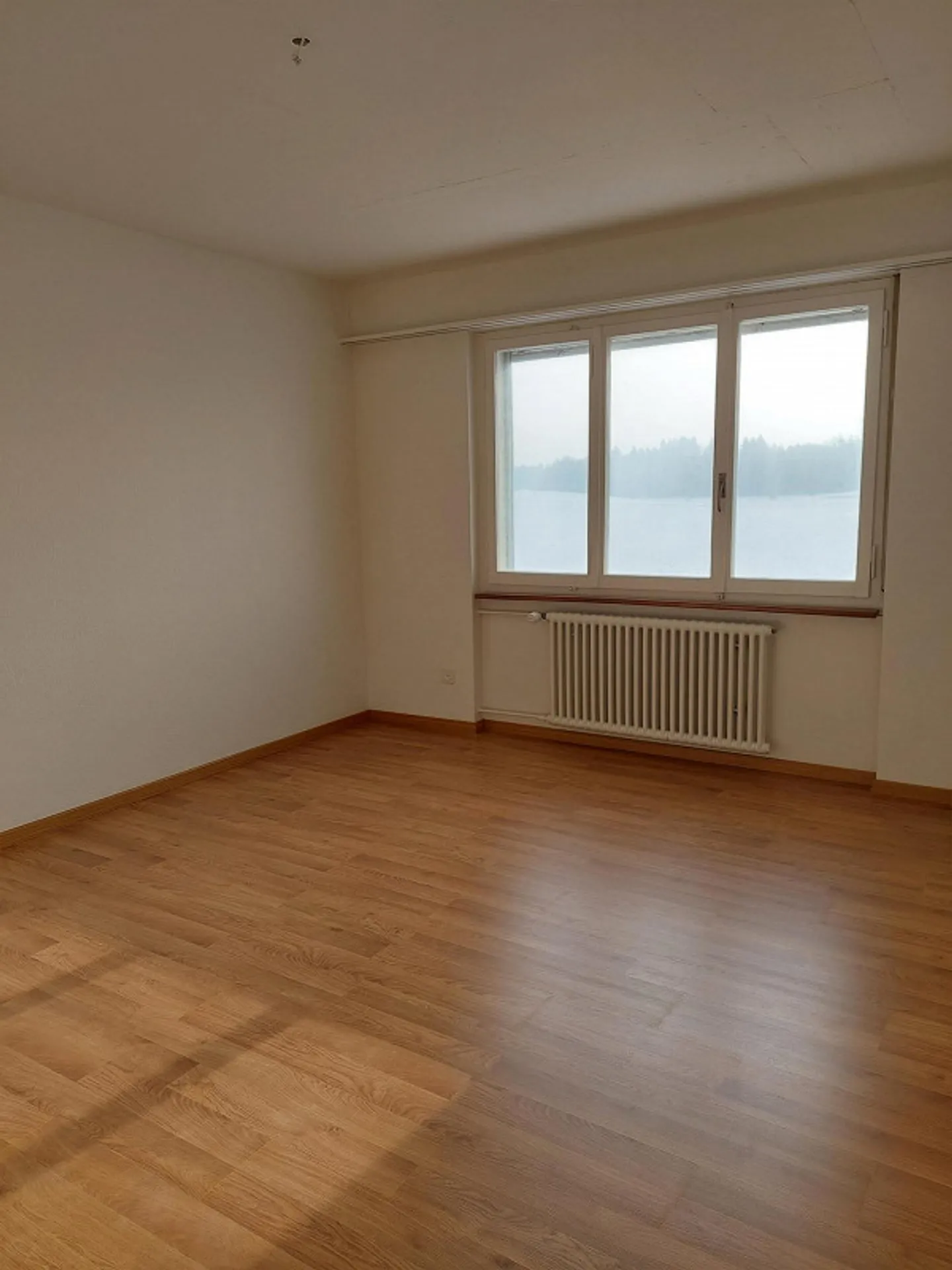 Grosszügige Wohnung im Grünen - Foto 5 von 11