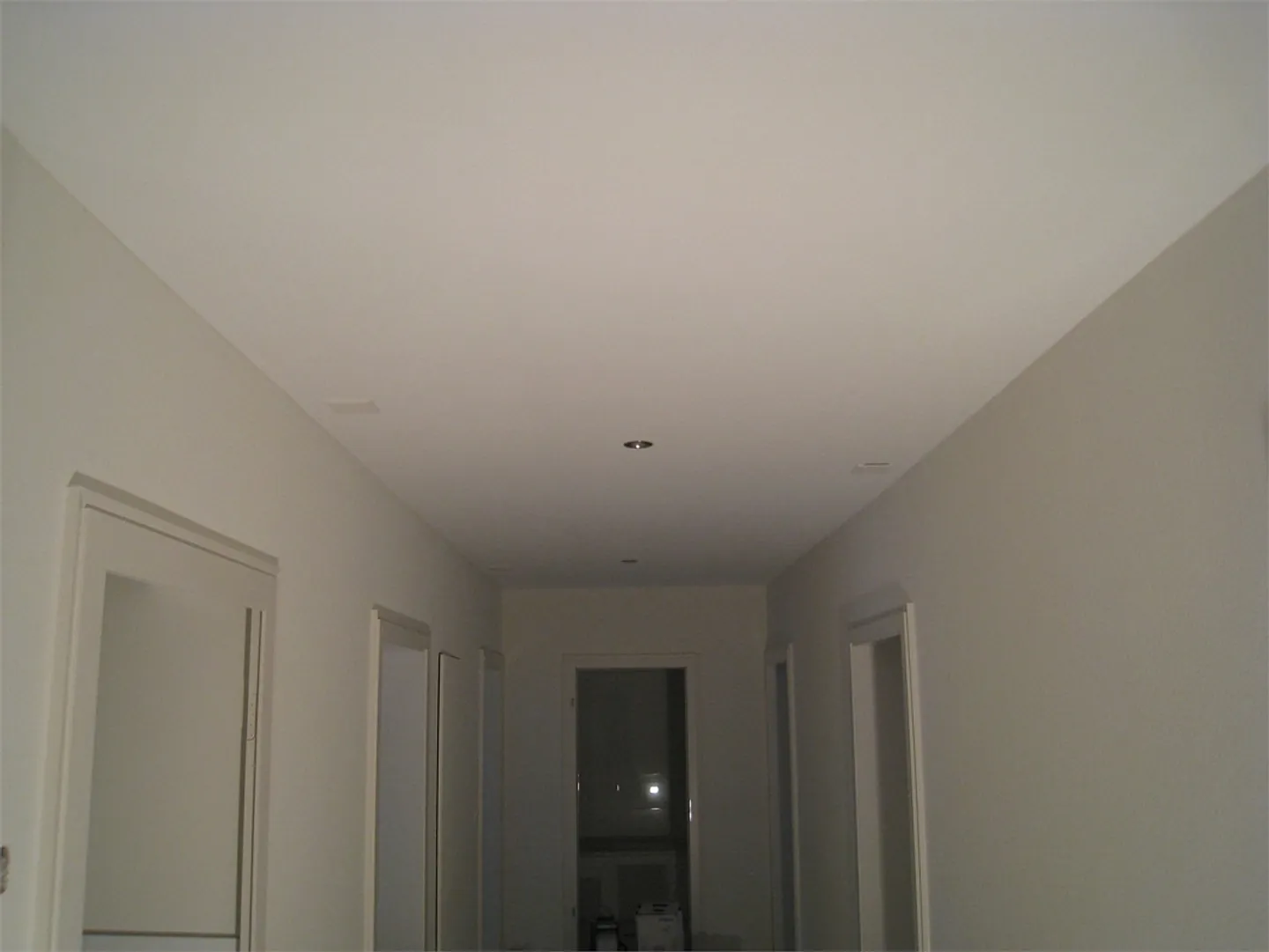 Completely Renovated 4.5-Room Art Nouveau Apartment - 3rd Floor - Photo 10 of 30