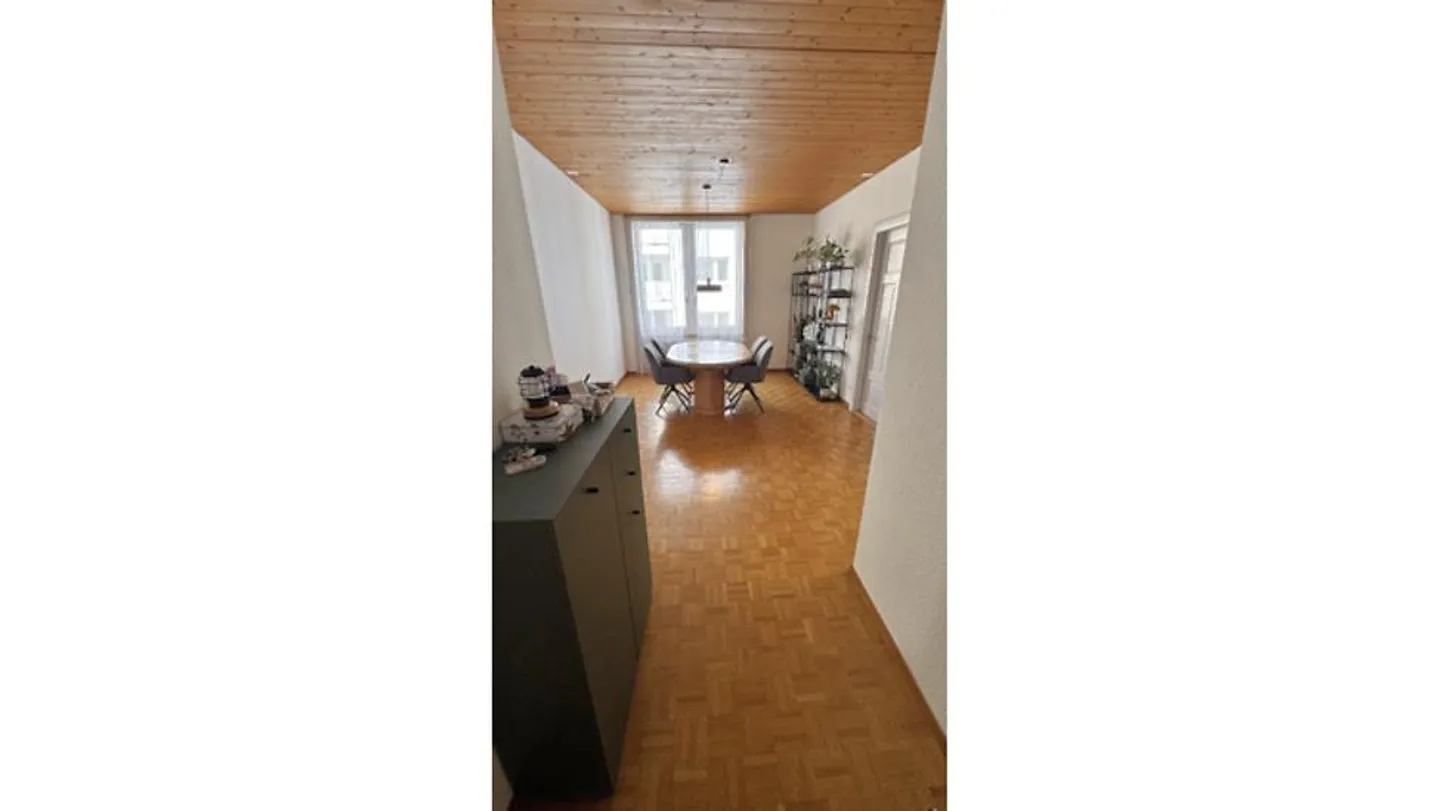3½ ROOM APARTMENT IN BADEN (AG), FURNISHED, TEMPORARY - Photo 3 of 10