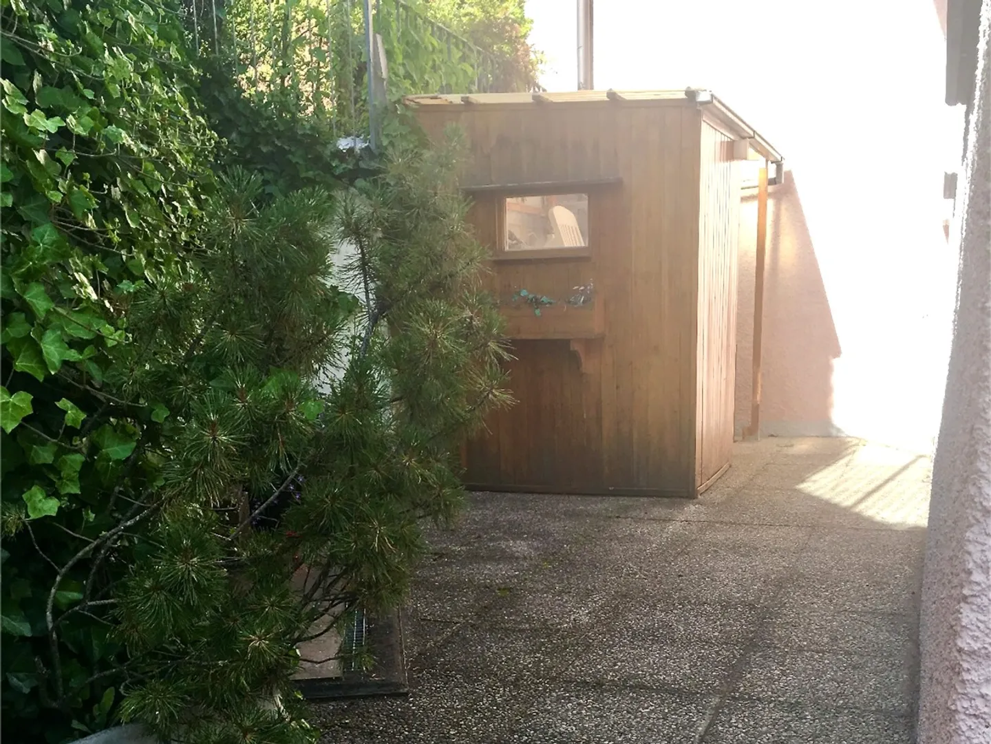 3.5 Room Apartment - Photo 15 of 20