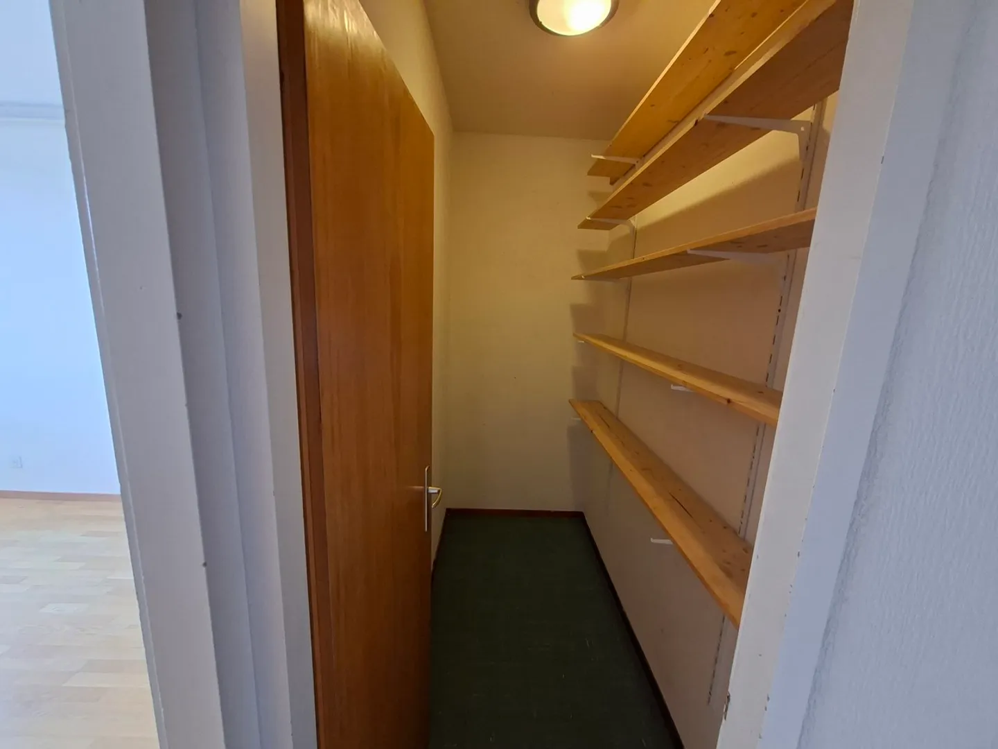 4-Zimmer-Wohnung mit Loggia in Lignon - Foto 9 von 9