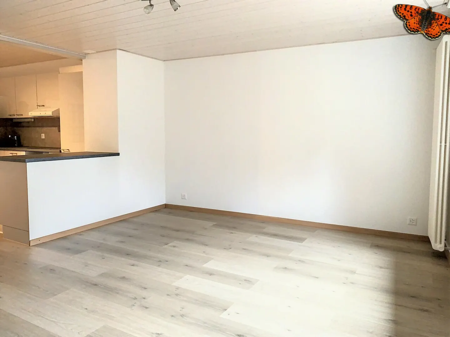 Duplex Apartment in City Center - Photo 4 of 10