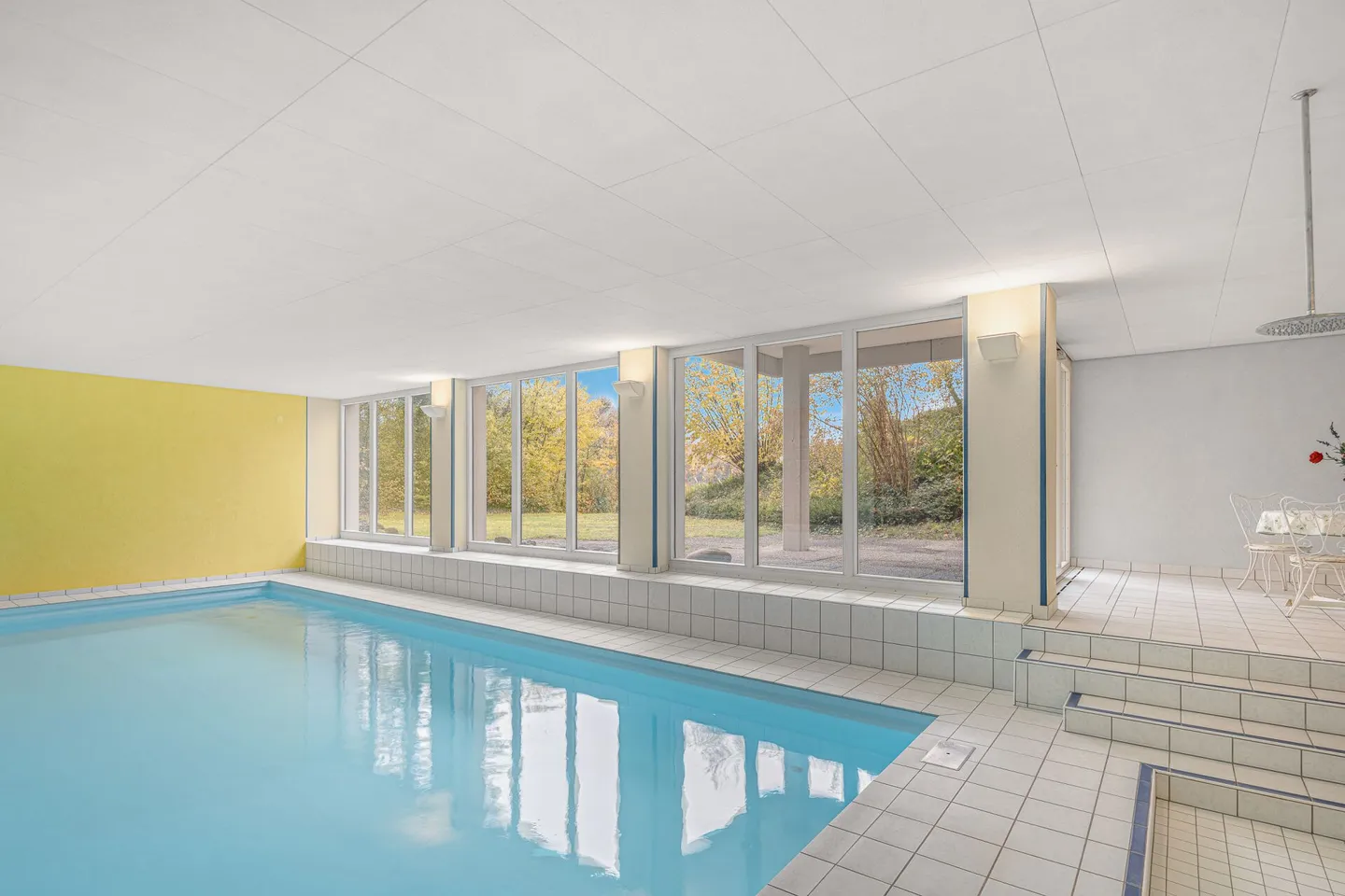 Weitblick über Rhein, Reben und Stadt - Foto 11 von 12