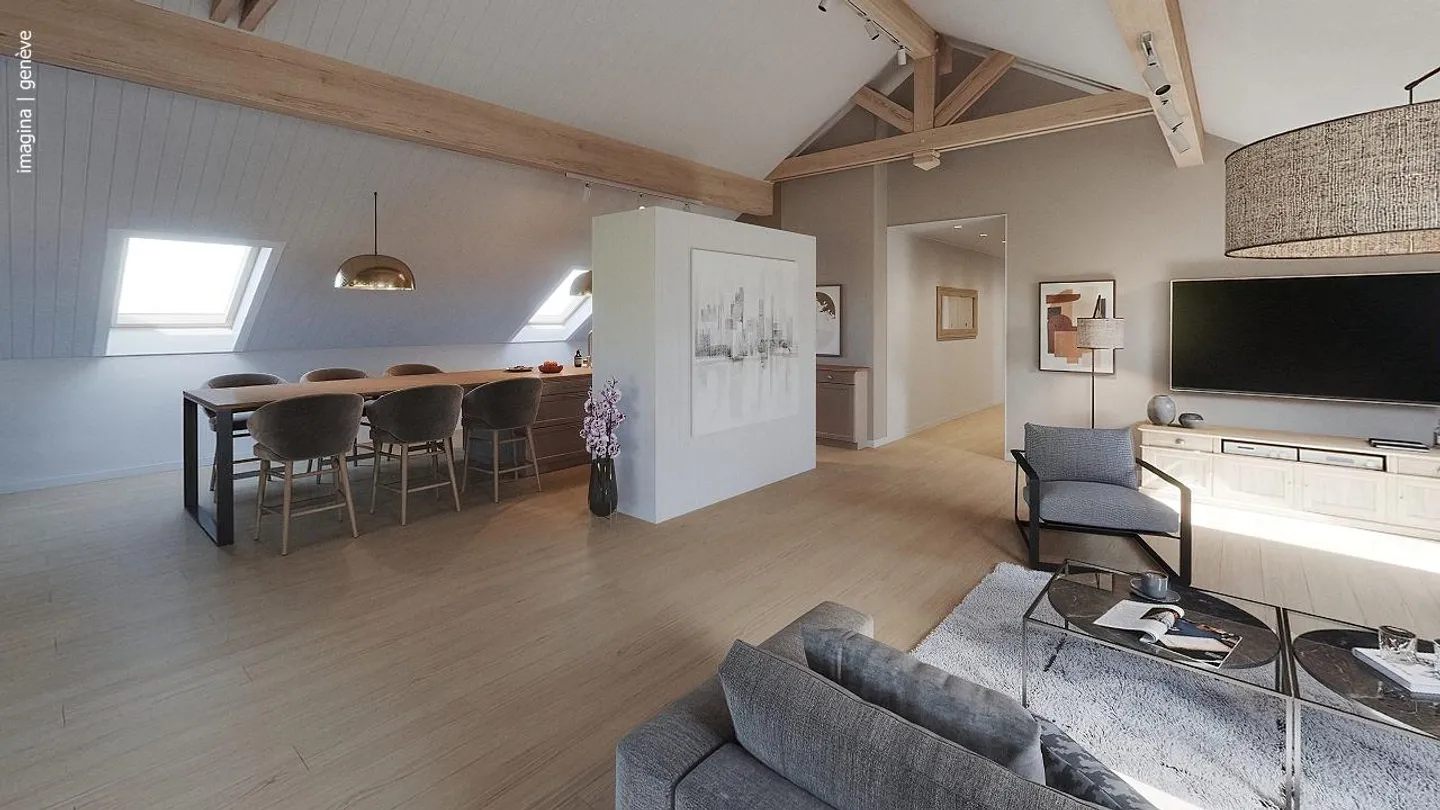 Luxury Apartment in Meinier - Photo 3 of 4