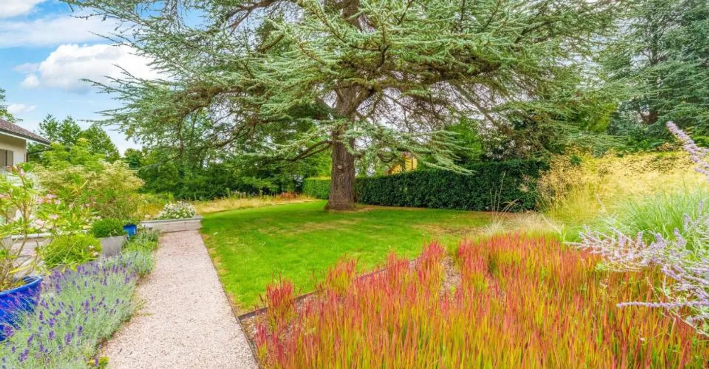 Große, vollständig renovierte Einzelvilla! - Foto 6 von 11