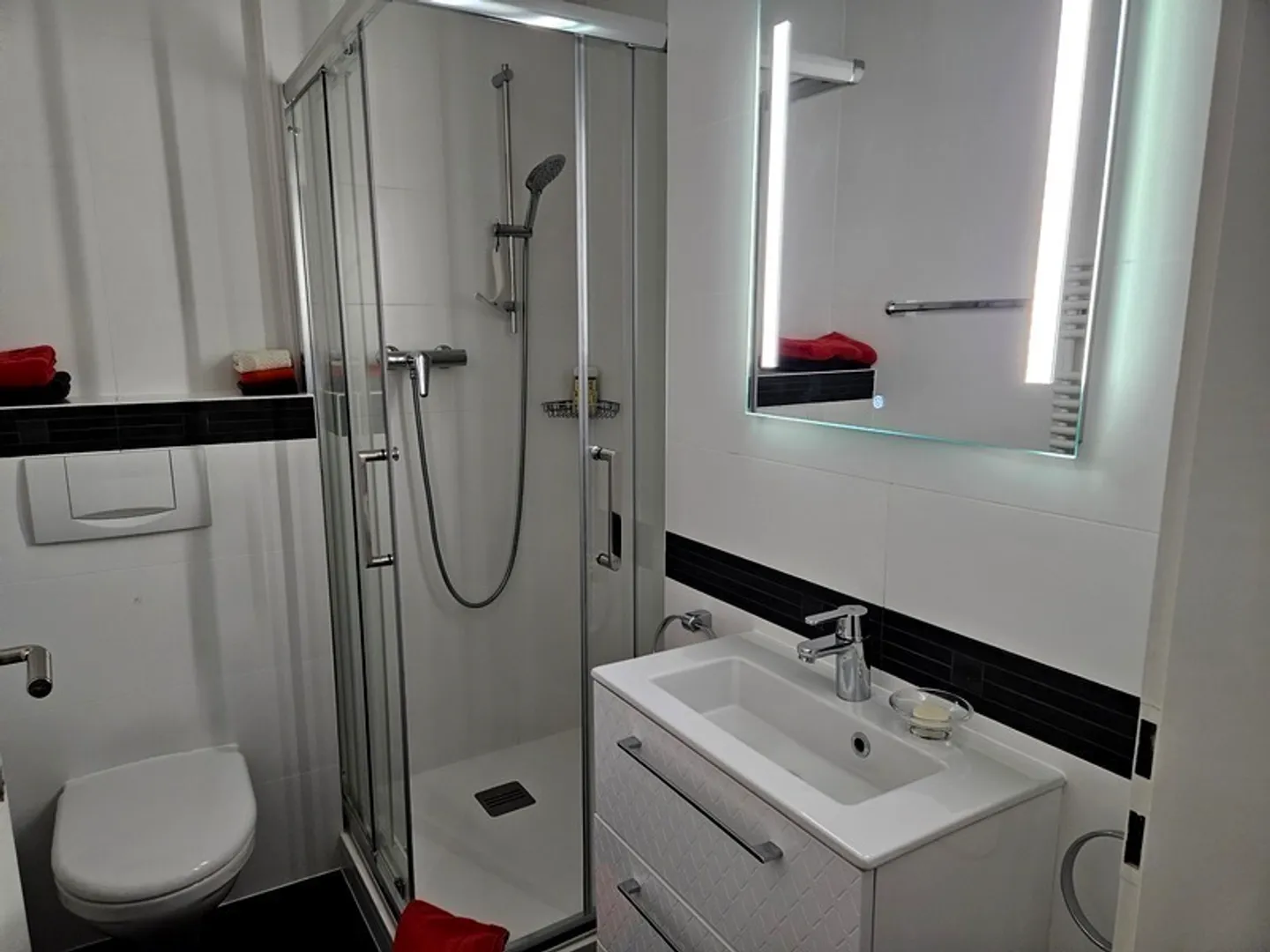 4-ROOM APARTMENT IN GENEVA - EAUX-VIVES, FURNISHED - Photo 5 of 10