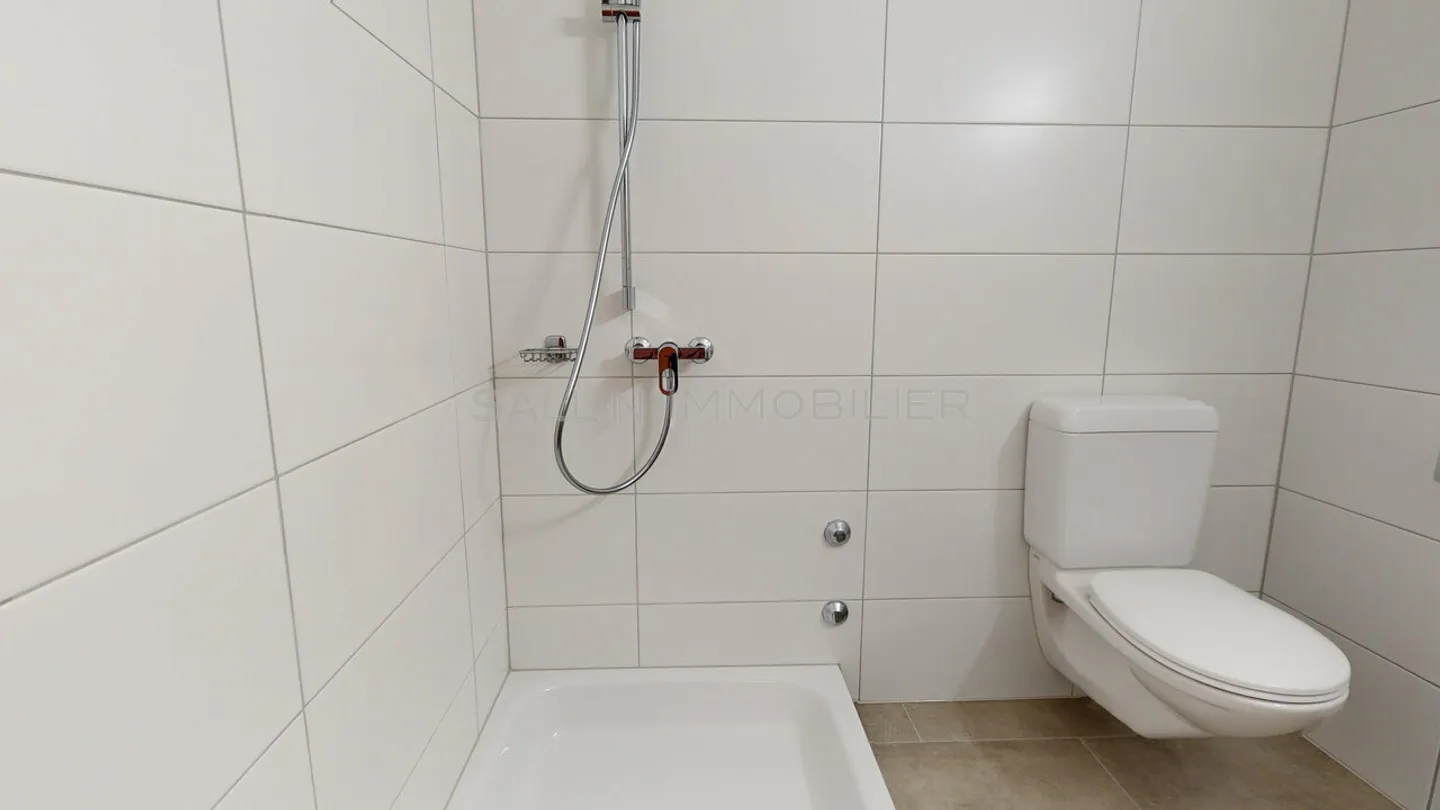 RENOVIERTES 2½-ZIMMER-APARTMENT IN EINER RUHIGEN WOHNANLAGE - Foto 10 von 11