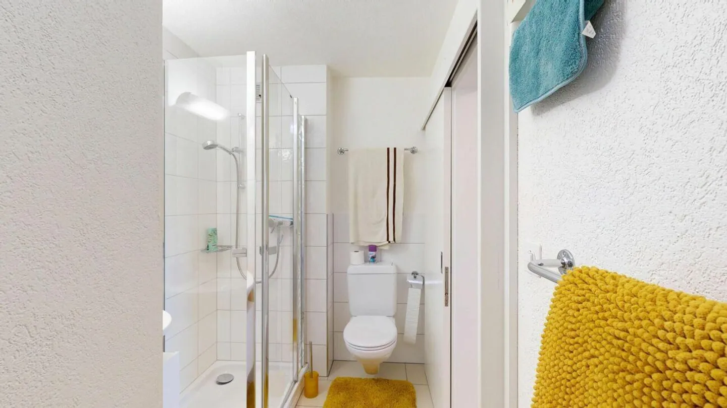 Modernisierte Wohnung mit Seeblick - Foto 10 von 13