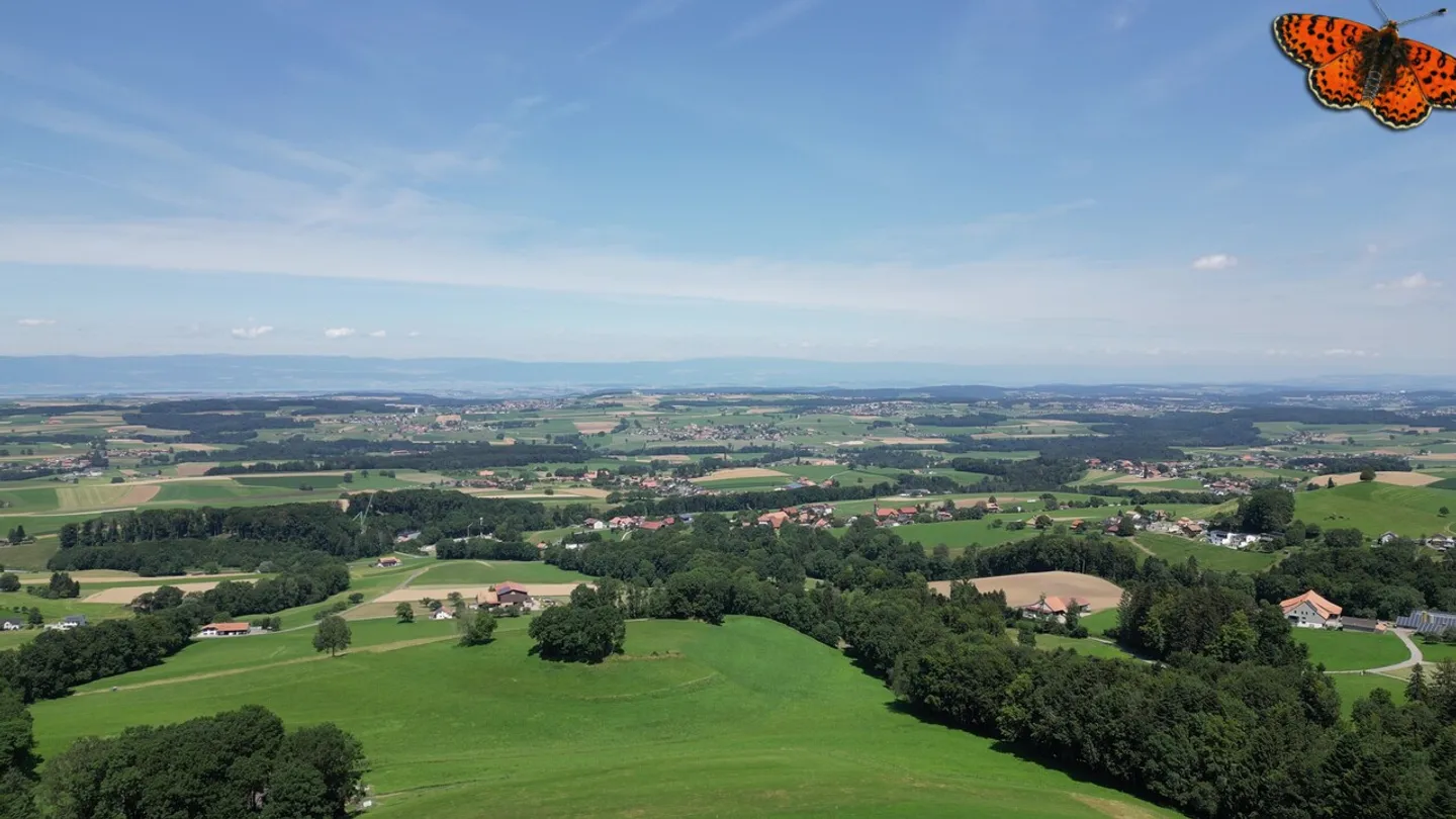 Spacious detached villa for sale! - Photo 16 of 17