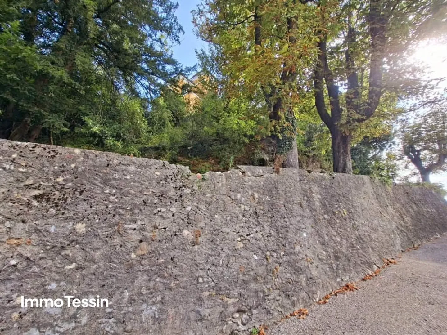 Rarità: Villa leggendaria Quisisana, il castello nascosto sopra Stabio che racconta la storia del mondo - Foto 6 di 13