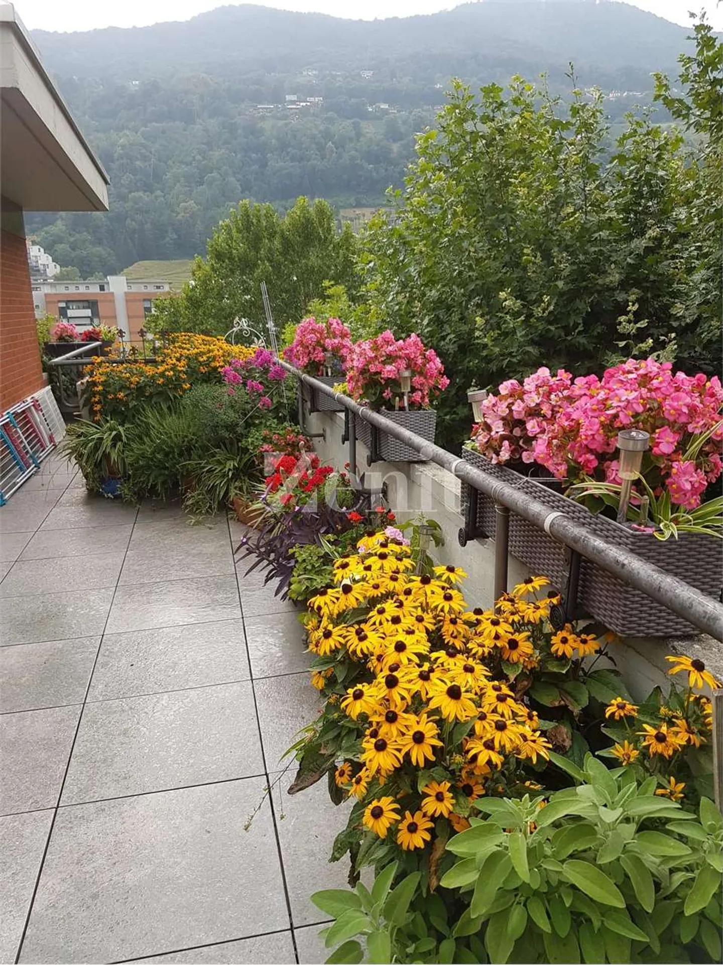 Elegant penthouse with 3.5 rooms, winter garden and terrace, Agno - Photo 10 of 13